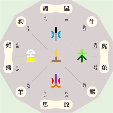 中五行|中字的五行属性